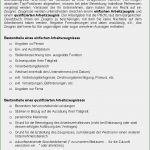 Arbeitszeugnis Steuerfachangestellte Vorlage Wunderbar Aufzugsmonteur Zeugnis Ag sofort Download