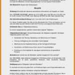 Arbeitszeugnis Technischer Zeichner Vorlage Einzigartig 14 Muster Einfaches Zeugnis