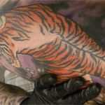 Arm Tattoo Vorlagen Cool Tattoo Vorlagen Arm Erfreut Rmel Tattoo Vorlagen Galerie