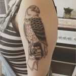 Arm Tattoo Vorlagen Schön Tattoovorlage Falke Auf Hand