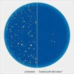 Arztstempel Vorlage Bewundernswert Arztstempel Selbstfärber Antibakteriell 59x23 Mm 6