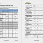 Auditbericht Vorlage Hübsch Auditbericht Vorlage Kostenlos Best Beste iso 9001