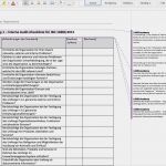 Auditplan Vorlage Cool iso 2015 Internes Audit toolkit