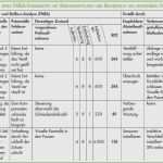 Auditplan Vorlage Erstaunlich Fmea formblatt Vorlage Gut Ausgezeichnet Auditplan Vorlage