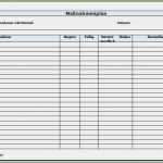 Auditplan Vorlage Erstaunlich Vorlage Auditbericht Awesome Maßnahmenplan Vorlage Zum