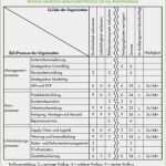 Auditplan Vorlage Hübsch Internes Audit iso 9001 Ziele