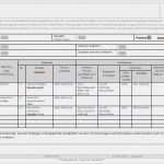 Auditprogramm Vorlage Kostenlos Einzigartig Wolfgang Nielsch Qualitätsmanagement Beratung