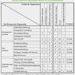 Auditprogramm Vorlage Kostenlos Großartig Audit iso 9001 Qualitätsmanagement Qm Audit