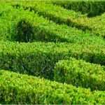 Auditprotokoll Vorlage Süß Handbuch Für Managementsysteme