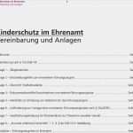 Aufforderung Zur Vorlage Eines Erweiterten Führungszeugnisses Genial Kinderschutz Im Ehrenamt Leitfaden Für Vereine Und
