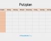 Aufgabenliste Vorlage Pdf Luxus Putzplan Vorlage 8 Putzpläne Für Paare Wgs Singles