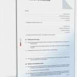 Aufhebung Handelsvertretervertrag Vorlage Luxus Handelsvertretervertrag