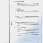 Aufhebung Handelsvertretervertrag Vorlage Wunderbar Aufhebungsvertrag Arbeitsverhältnis