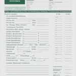 Aufmaß Vorlage Elektro Neu Aufmaß Vorlage Pdf Luxus Kanalreinigung Mustervordruck