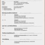 Aufnahme In Mietvertrag Vorlage Schön 14 Kurzvita Vorlage