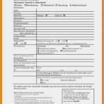 Aufnahme In Mietvertrag Vorlage Schön 20 Bewerbung Berufskolleg Muster