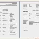 Aufnahme In Mietvertrag Vorlage Wunderbar 17 Einschreiben Vorlage Word