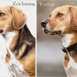 Auftrag Vergeben Vorlage Best Of Vergleich Von Vorlage Und Zeichnung Vitas Artworkss