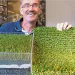 Auftrag Vergeben Vorlage Hübsch Auftrag Für Kunstrasenplatz Vergeben