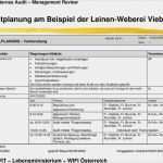 Auftragsbuch Vorlage Bewundernswert 12 Internes Audit Muster