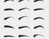 Augenbrauenform Vorlage Beste Sistema De Cejas Femeninas En Diversos formas Y Tipos