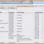 Augenbrauenform Vorlage Cool Einnahmen Ausgaben Excel Vorlage