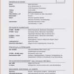 Ausbildung Vorlage Genial 8 Vorlage Lebenslauf Ausbildung