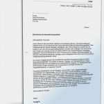 Ausbildungsnachweis Koch Vorlage Fabelhaft Berichtsheft Steuerfachangestellte Muster