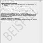 Ausbildungsnachweis Tiermedizinische Fachangestellte Vorlage Schönste Berichtsheft Tiermedizinische Fachangestellte Muster