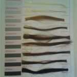 Ausbildungsnachweis Vorlage Handwerkskammer Genial Berichtsheft Friseur Tagesbericht