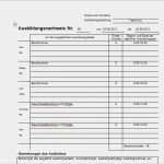 Ausbildungsnachweis Vorlage Ihk Fabelhaft software Für Ausbildungsnachweise Administrator
