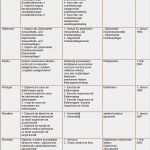 Ausbildungsplan Erstellen Vorlage Hübsch Krankenpflegegesetz Gesetzestext Und Ergänzende Vorschriften