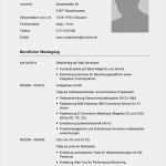 Ausformulierter Lebenslauf Vorlage Fabelhaft Lebenslauf Muster Vorlage Manager 1 Vorlage Muster