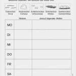 Ausfuhrbescheinigung Für Umsatzsteuerzwecke Vorlage Englisch Elegant Kostenloses Arbeitsblatt Für Den Sachunterricht In Der