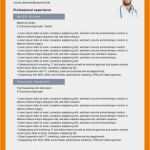 Ausführlicher Lebenslauf Vorlage Kostenlos Angenehm 11 Ausführlicher Lebenslauf Vorlage