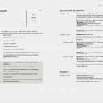 Ausführlicher Lebenslauf Vorlage Kostenlos Beste Lebenslauf Vorlagen Headhunter100