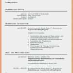 Ausführlicher Lebenslauf Vorlage Kostenlos Einzigartig Interne Bewerbung Muster Kostenlos Beispiel 85 Luxus
