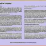 Ausführlicher Lebenslauf Vorlage Kostenlos Inspiration Ausführlicher Lebenslauf Muster Best 13 Lebenslauf