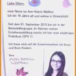 Aushang Gestalten Vorlage Luxus 12 Steckbrief Muster Kindergarten