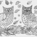 Ausmalen Vorlagen Erstaunlich Zentangle Vorlagen Gratis Ausdrucken Zum Ausmalen