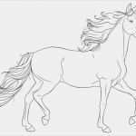 Ausmalen Vorlagen Genial Pferde Ausmalbilder Vorlagen Die Beste Idee Zum Ausmalen
