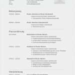 Aussagekräftige Bewerbung Vorlage Erstaunlich 14 Free Muster Projektliste Lebenslauf Interview