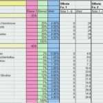 Ausschreibung Vorlage Excel Schön Management Und Logistik Lastenheft Vorlage Muster