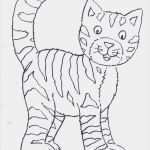 Ausweis Vorlagen Zum Drucken Kostenlos Best Of Ausmalbilder Katze Kostenlos Malvorlagen Zum Ausdrucken