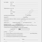 Auto Kaufvertrag Privat Ohne Gewährleistung Vorlage Wunderbar Pkw Kaufvertrag formulare Kaufvertrag Pkw Anh Nger