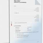 Auto Verkaufen Vorlage Word Fabelhaft Kaufvertrag Anhänger