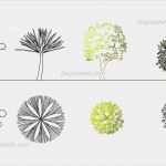 Autocad Vorlagen Free Download Genial ornamental Trees Cad Blocks Free Dwg File
