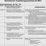 Autofachmann Berichtsheft Vorlage Pdf Erstaunlich Berichtsheft Mfa Vorlage Großartig Betrieblicher