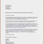 Autofachmann Berichtsheft Vorlage Pdf Hübsch Berichtsheft Vorlage Pdf Lebenslauf Sprachkenntnisse Schön