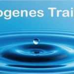 Autogenes Training Vorlage Neu Autogenes Training ↔ Übungen & Anwendungsbereiche
